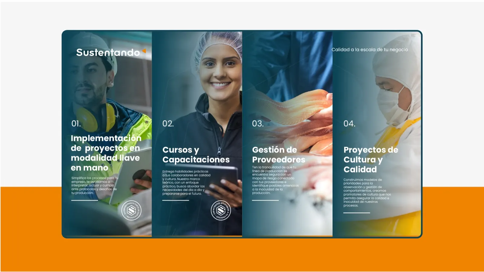 Piezas de Sustentando con los servicios de implementación, cursos, gestión de proveedores y proyectos de cultura y calidad.
